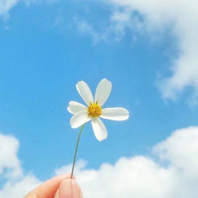 战斗吧弱鸡满v变态版下载
