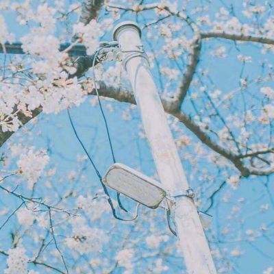 傲武苍穹手游
