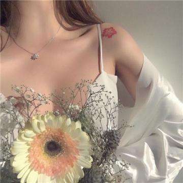 重装战姬台服手游下载